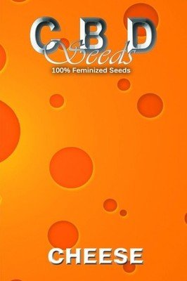 CBD Seeds - Cheese (fem.) 04685