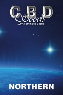 CBD Seeds - Northern (fem.) 04691