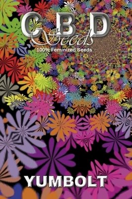 CBD Seeds - Yumbolt (fem.) 04693