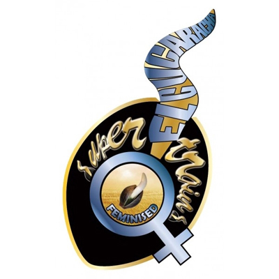 Super Strains Seeds - El Cucaracha (fem.) 03204