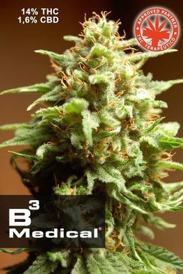 Pure Seeds - B3 Medical (fem.) 05063