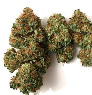 T.H. Seeds - Roof 95 (fem.) 04976