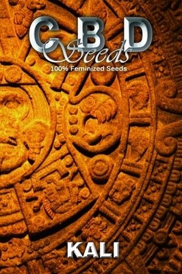 CBD Seeds - Kali (fem.) 04690