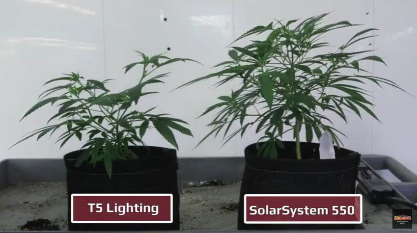 SolarSystem 550 VEG - LED лампа для выращивания растений