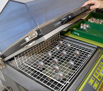 Spanish Seeds - Auto Diesel x Auto Jack (50 auto/fem.)