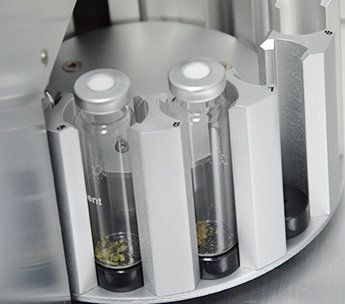 Spanish Seeds - Hindu Kush x Hindu Kush (50 fem.)