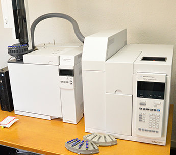 Spanish Seeds - Northern Lights x Great White Shark (50 fem.)