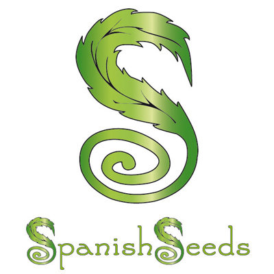 Spanish Seeds - OG Kush x White Widow (50 fem.)