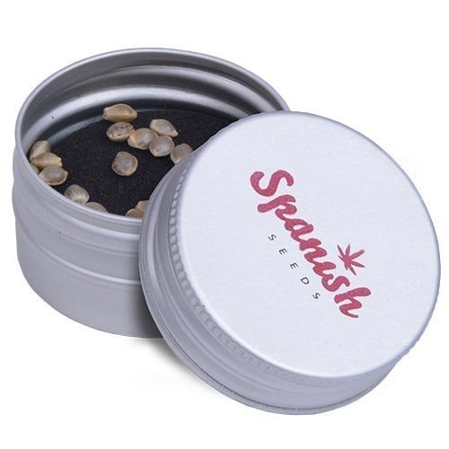 Spanish Seeds - White Widow x Jack Herer (50 fem.)