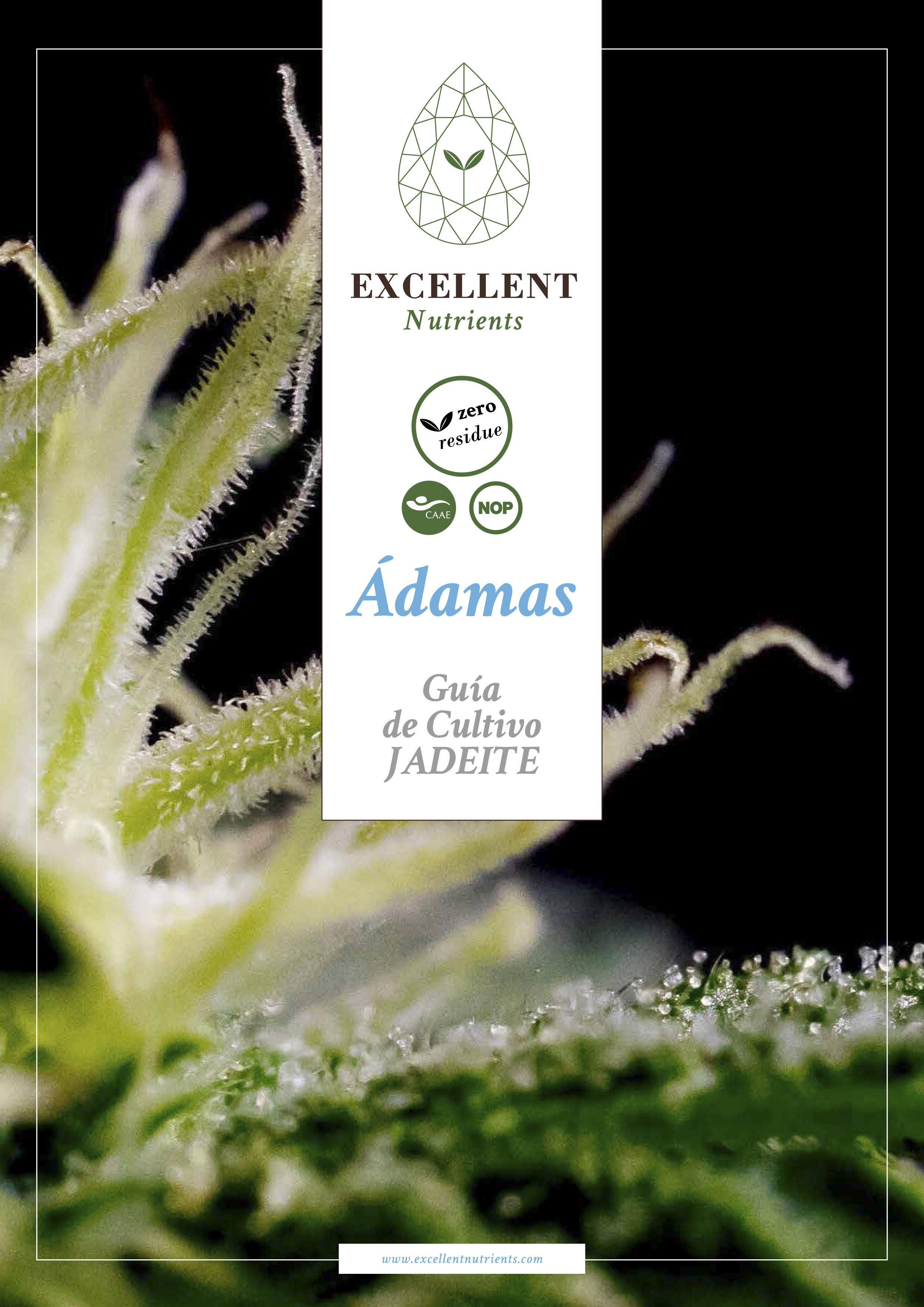 Карта кормления Adamas с базой Jadeite