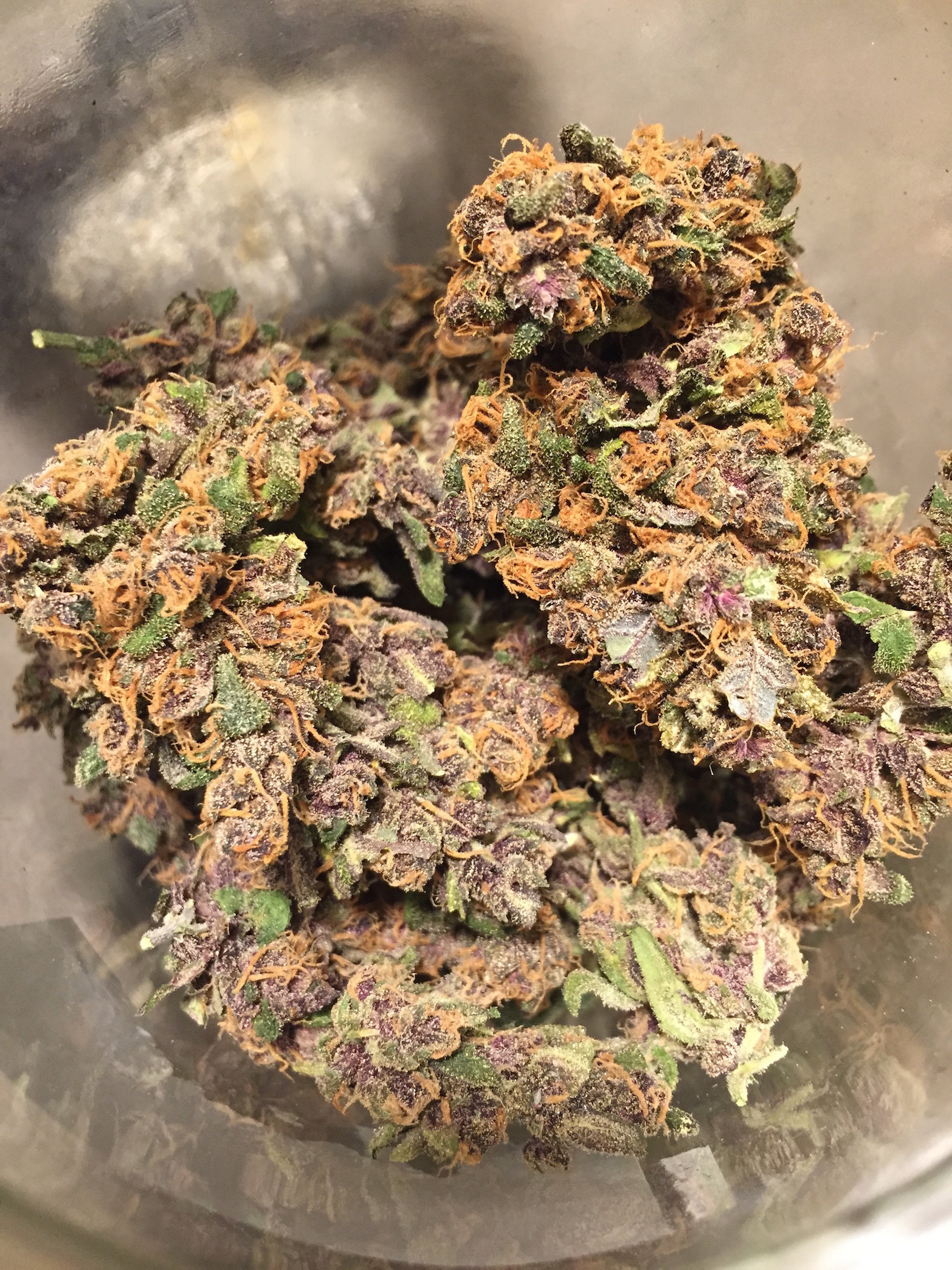 FastBuds - Fastberry (auto/fem.)