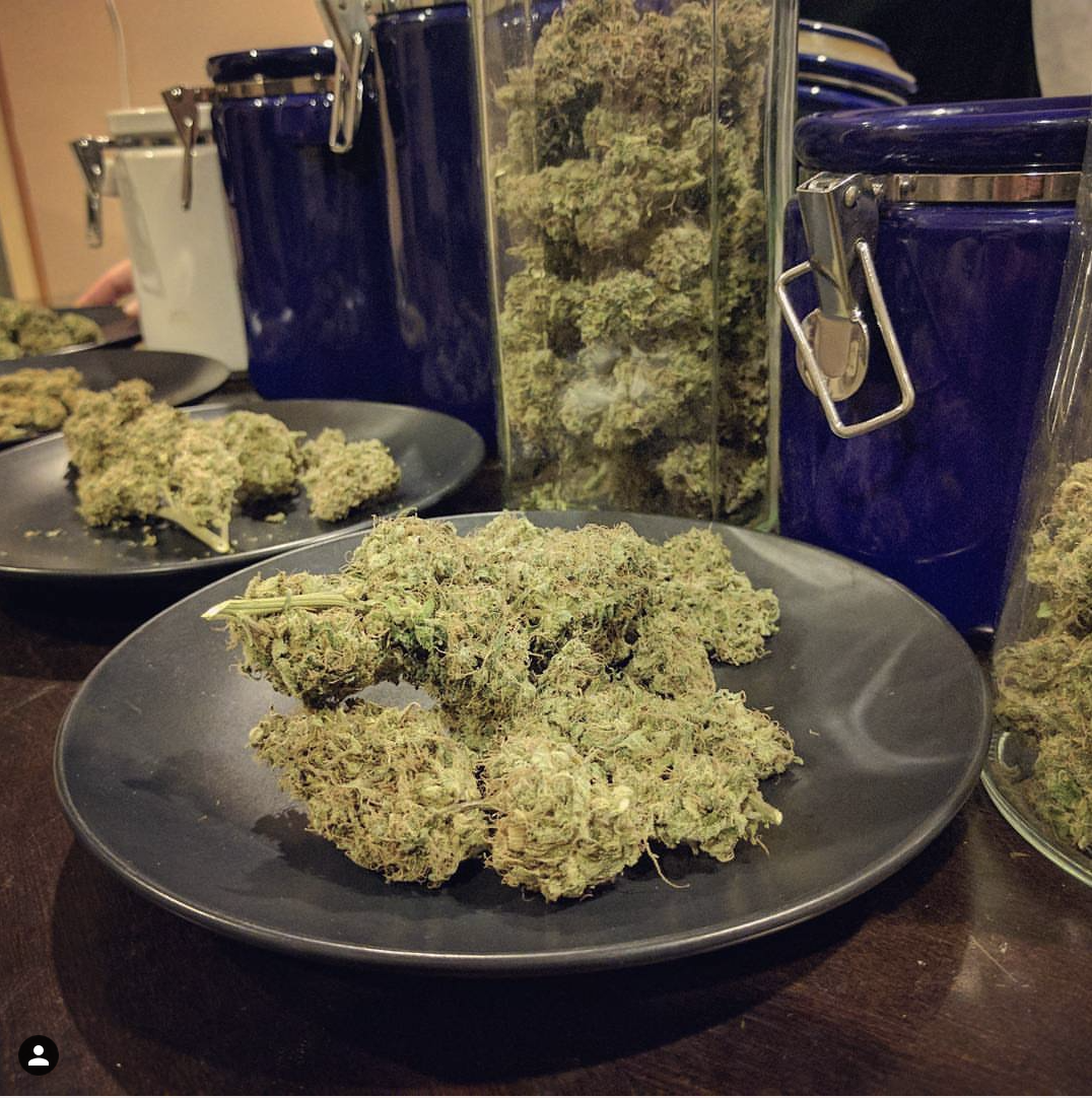 FastBuds - G14 (auto/fem.)