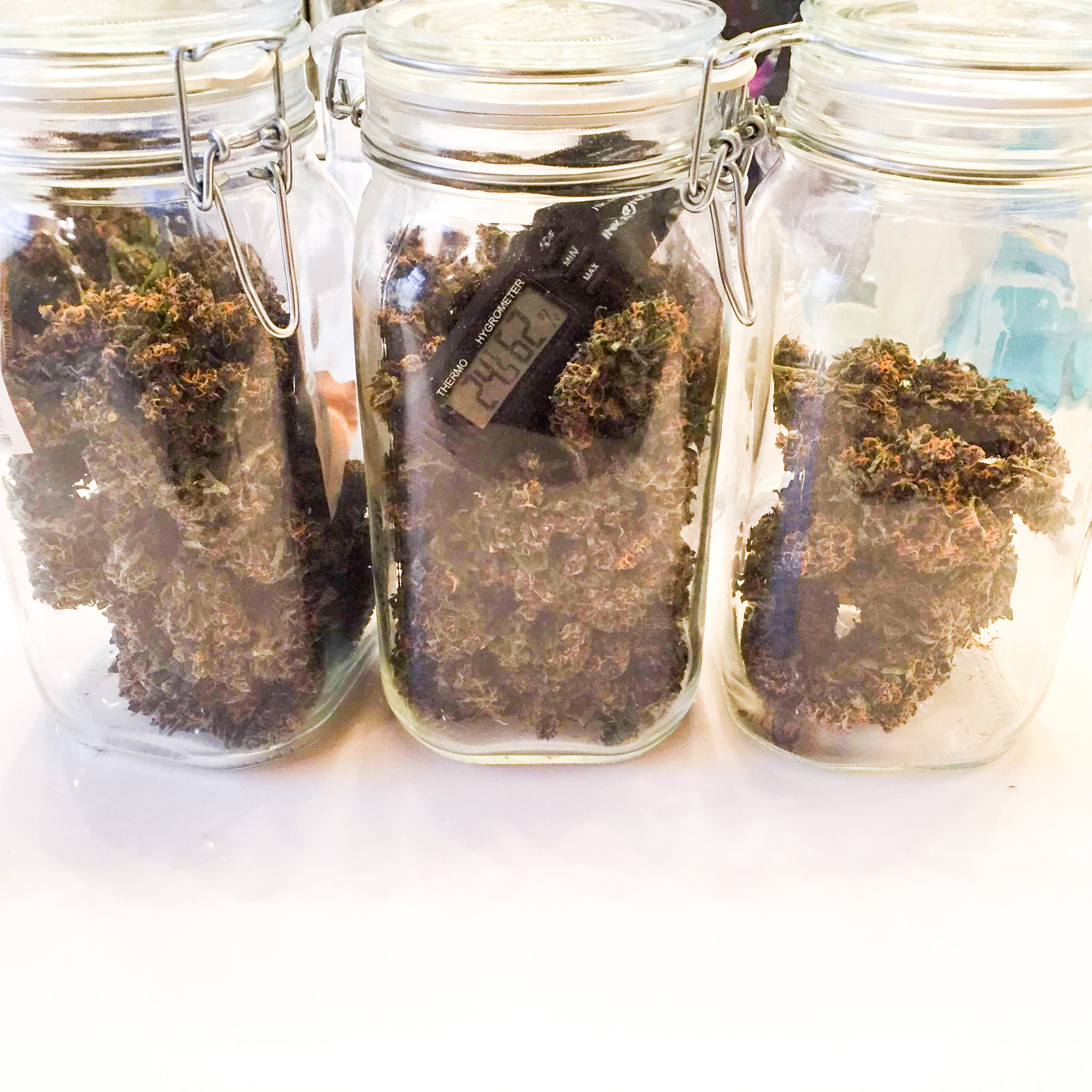 FastBuds - LSD-25 (auto/fem.)