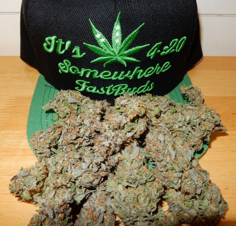 FastBuds - Pineapple Express (auto/fem.)
