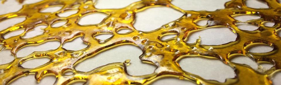 FastBuds - Pineapple Express (auto/fem.)
