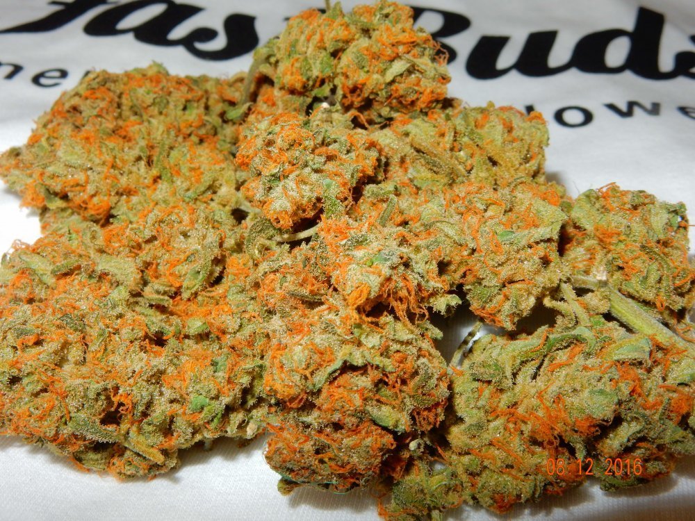 FastBuds - Mexican Airlines (auto/fem.)