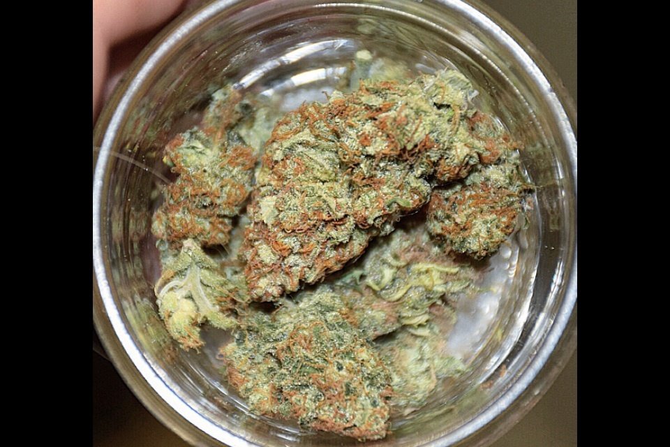 FastBuds - Rhino Ryder (auto/fem.)