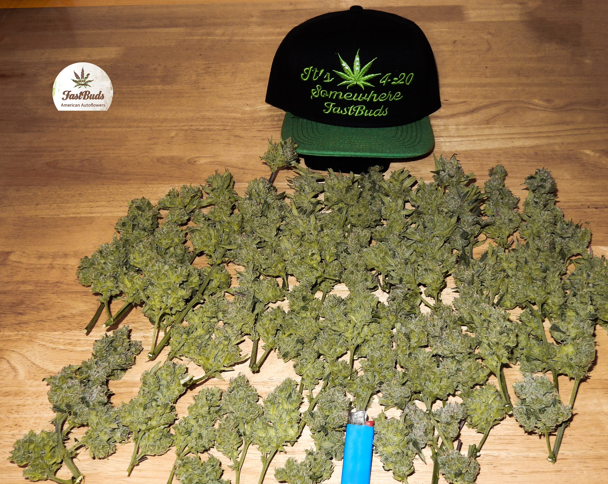 FastBuds - West Coast O.G. (auto/fem.)