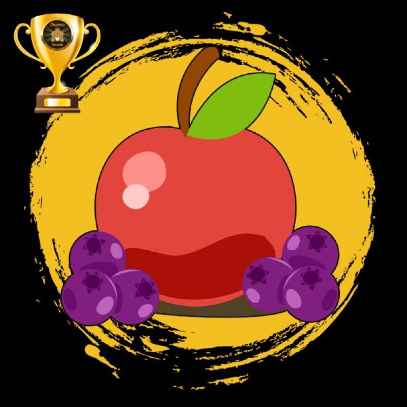 Sumo Seeds - Appleberry (fem.)