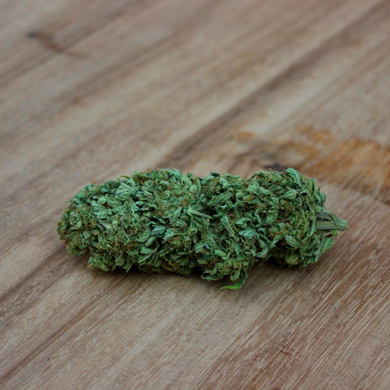 Sumo Seeds - Berries &amp; Cheese (fem.)