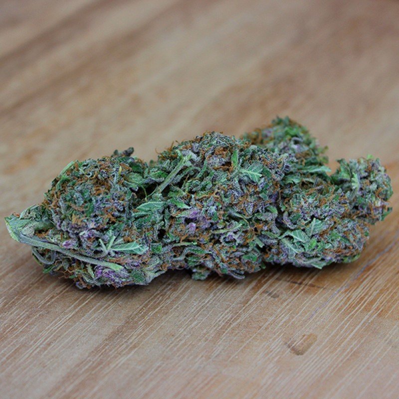 Sumo Seeds - Cali Gangsta Kush (fem.)