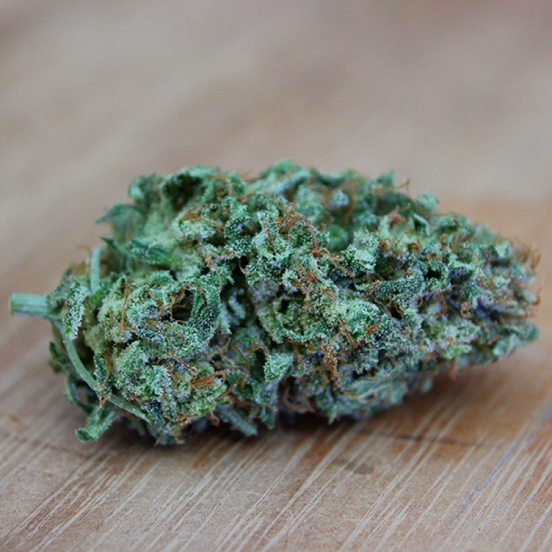 Sumo Seeds - CBD Cherry Kush (fem.)