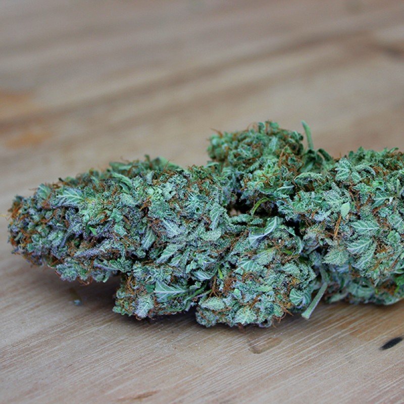 Sumo Seeds - CBD Kong's Kush (fem.)