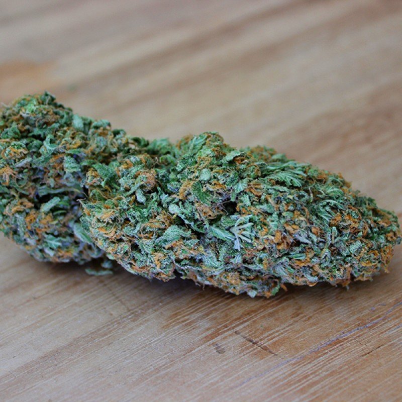 Sumo Seeds - Goji Haze (fem.)