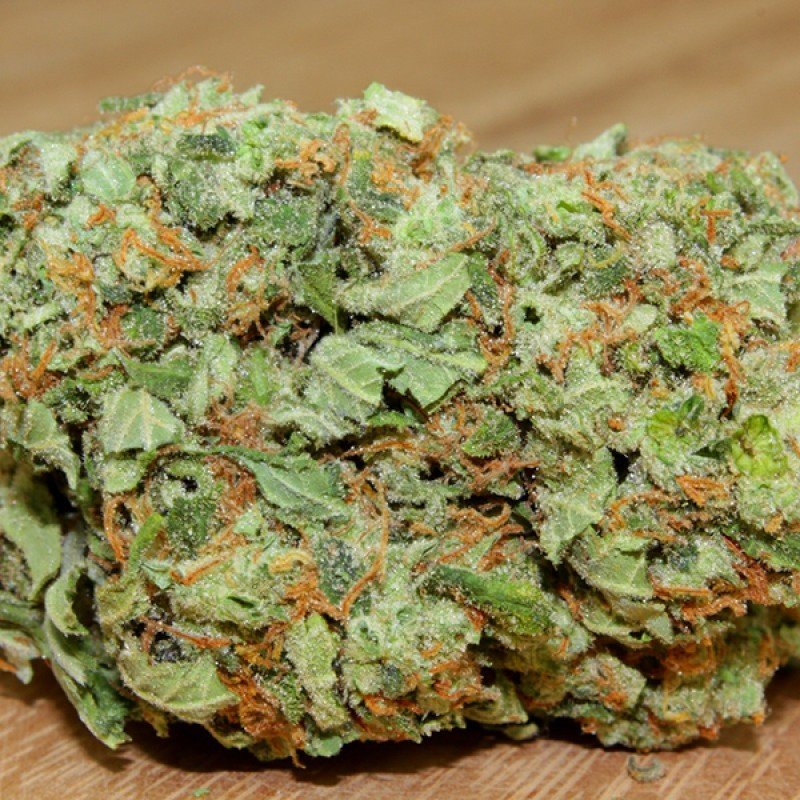 Sumo Seeds - Green Mango (fem.)