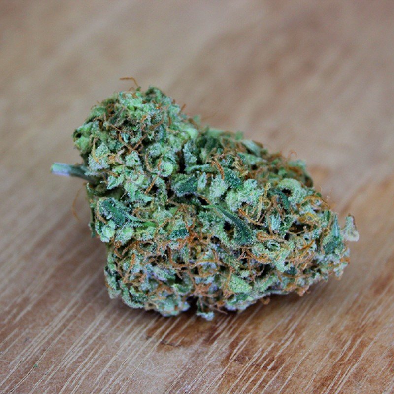 Sumo Seeds - Silver Buddha Haze (fem.)