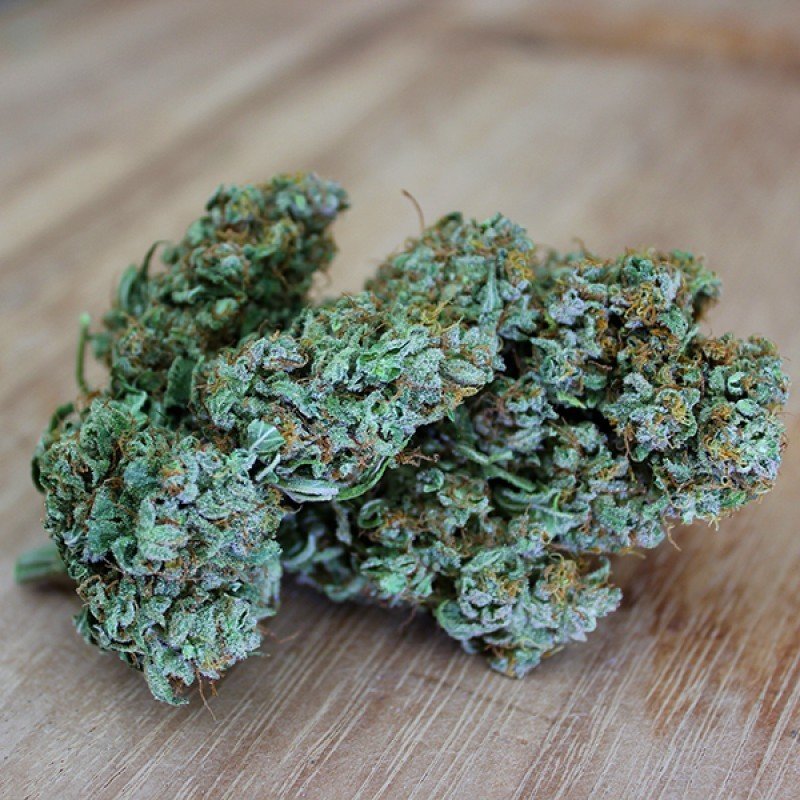 Sumo Seeds - Sumo's OG Kush (fem.)