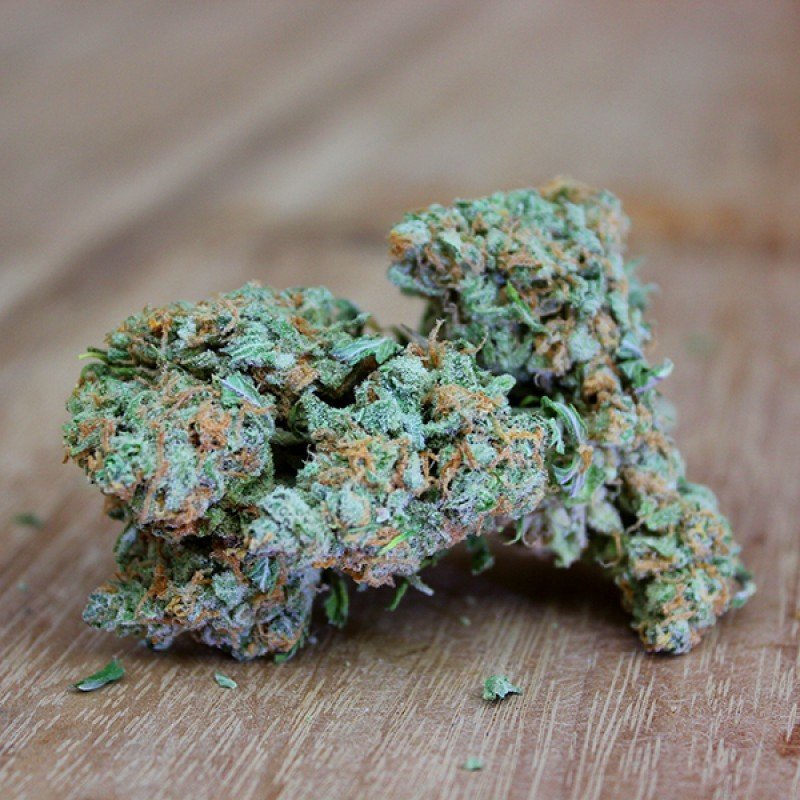 Sumo Seeds - Ultimate AK (fem.)