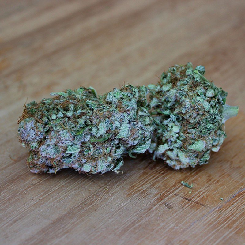 Sumo Seeds - White Widow Original (fem.)