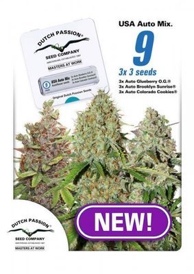 Dutch Passion - USA Autoflower Mix (auto/fem.) 05618