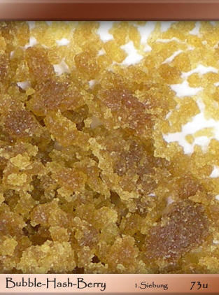 Mandala Seeds - Hashberry (reg.)