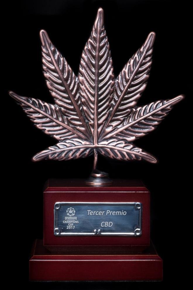 Dinafem - OG Kush CBD (fem.)