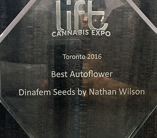 Dinafem - Sour Diesel Autoflowering (auto/fem.)