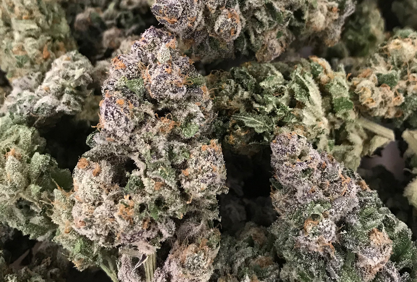 Rare Dankness - Dark Ghost Train (fem.)