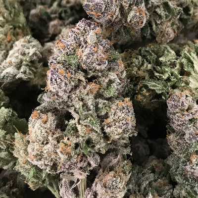 Rare Dankness - Dark Ghost Train (fem.) 05709