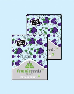 Female Seeds - Dream Berry (fem.) 05807