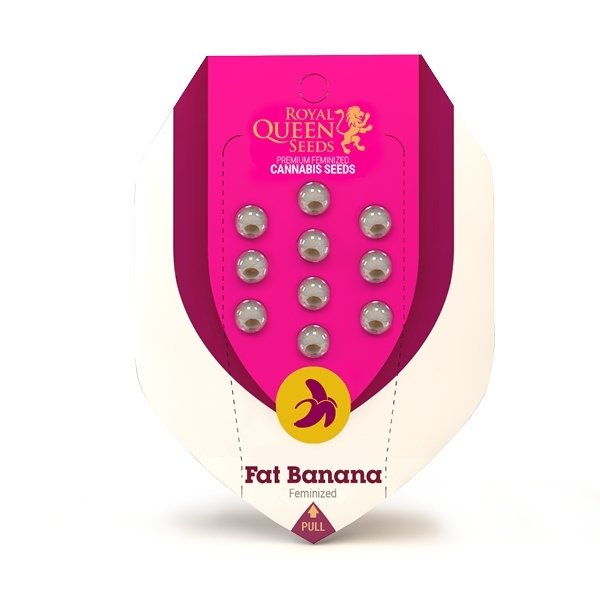 Royal Queen Seeds - Fat Banana (fem.)
