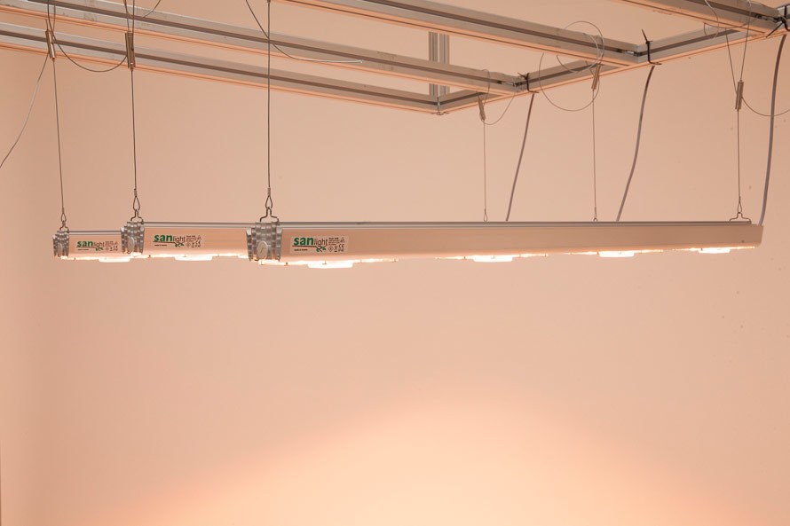 SANlight S4W - LED лампа 140W для выращивания каннабиса и других растений