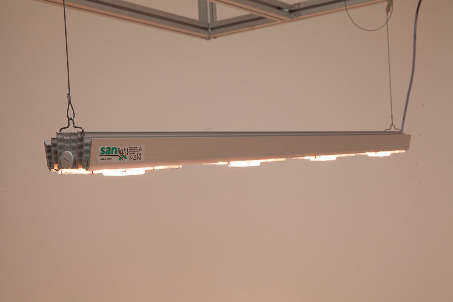 SANlight S4W - LED лампа 140W для выращивания каннабиса и других растений