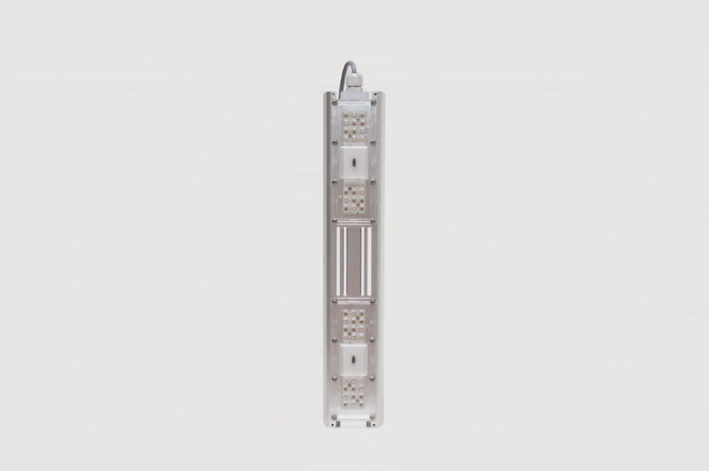SANlight S2W - LED лампа 62W для выращивания каннабиса и других растений