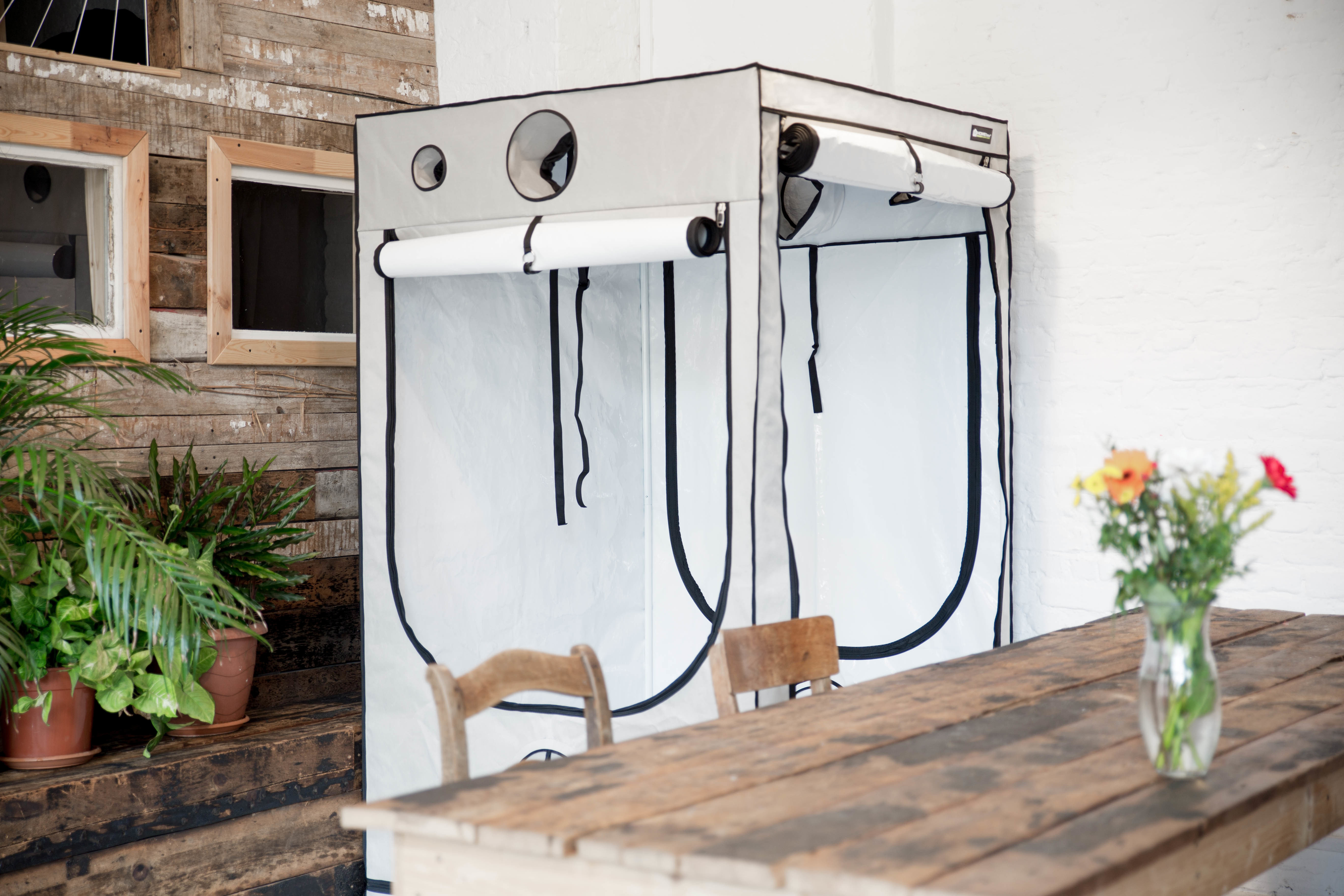 Гроубоксы HomeBox Ambient для выращивания растений