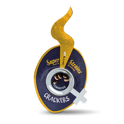 Super Strains Seeds - Crackers (fem.) 06076