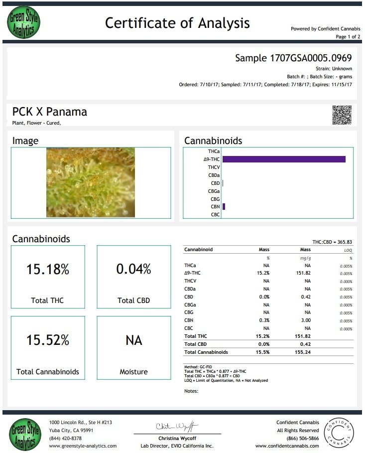 Ace Seeds - Panama x PCK (fem.)