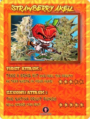 Serious Seeds - Strawberry AKeil (fem.) 06092