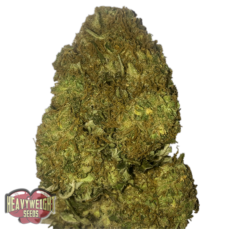 Heavyweight Seeds - Skunky Monkey Auto (auto/fem.)