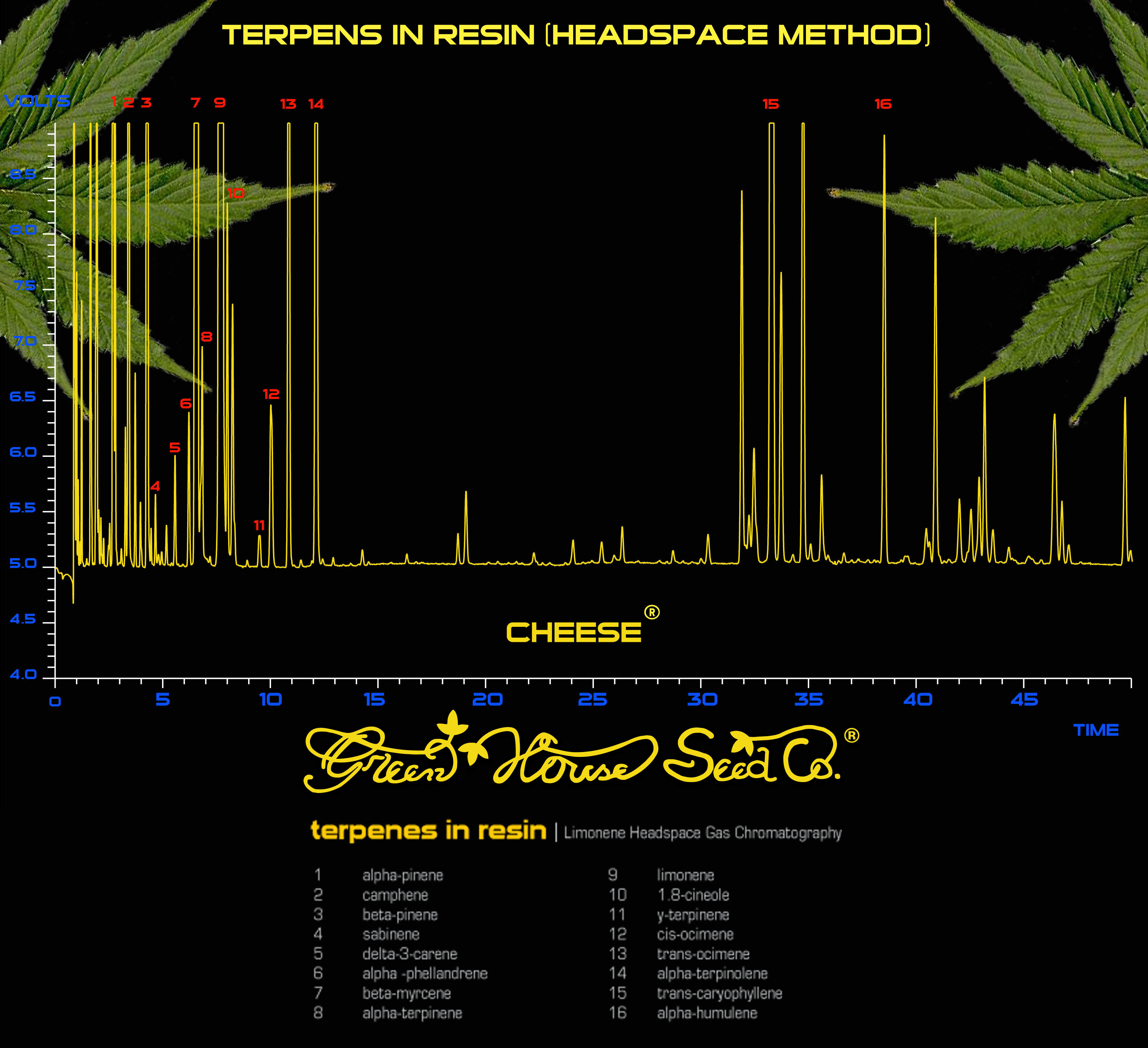 Green House Seeds - GH Cheese (fem.)